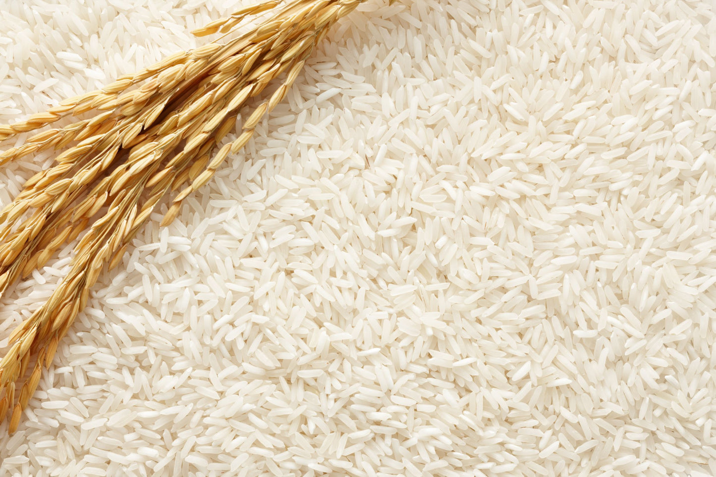 Mascarilla de arroz by ZaJ cosmetics